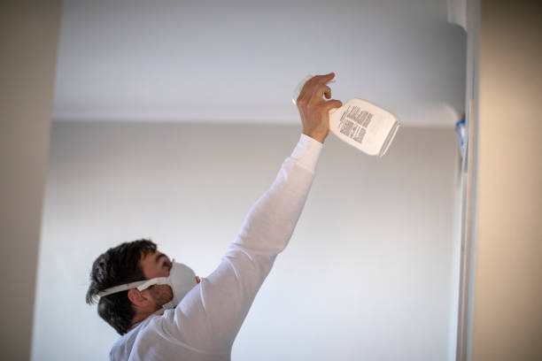 Best Mold Removal Near Me  in Hayward, CA