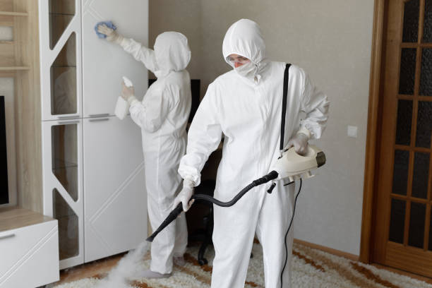 Professional Mold Removal in Hayward, CA