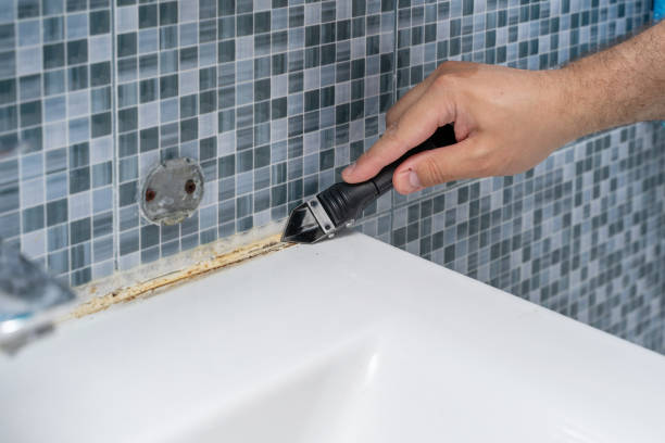 Best Same-Day Mold Removal  in Hayward, CA