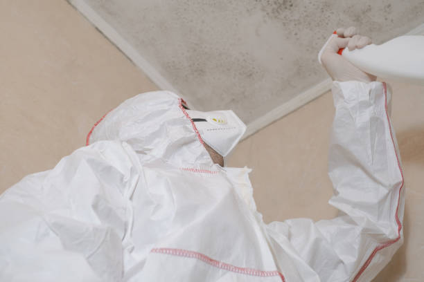 Best Emergency Mold Removal  in Hayward, CA