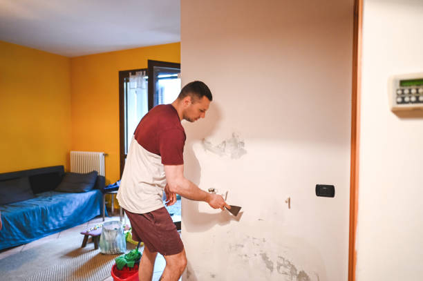 Best Black Mold Removal  in Hayward, CA